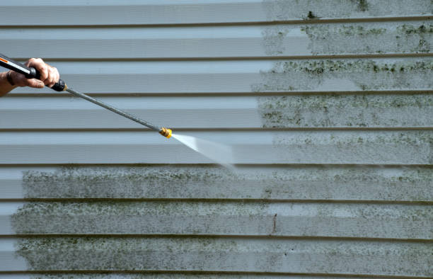 Best Roof Pressure Washing  in Veedersburg, IN